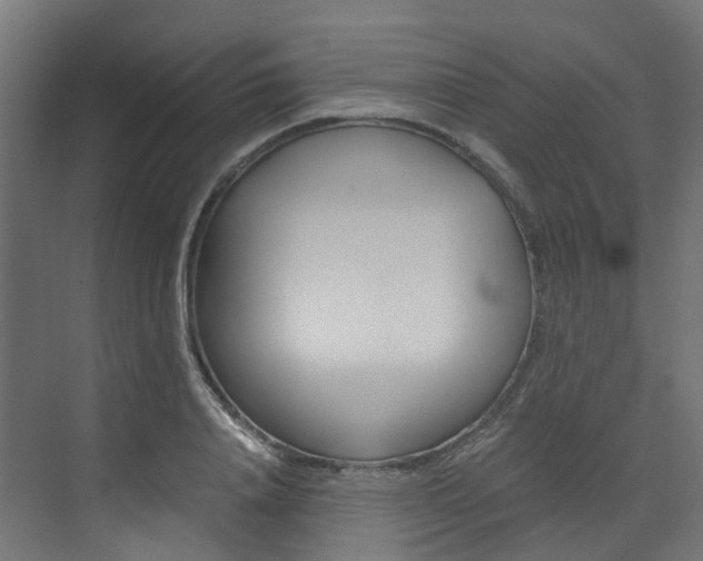 X0000073530840200607311013
