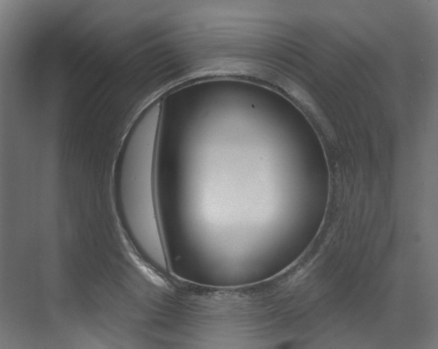 X0000073530842200607311013