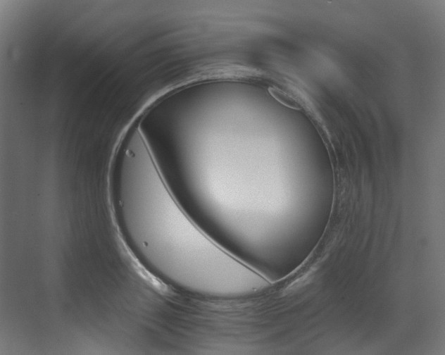 X0000073530843200607311013