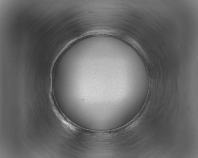X0000073530844200607311013