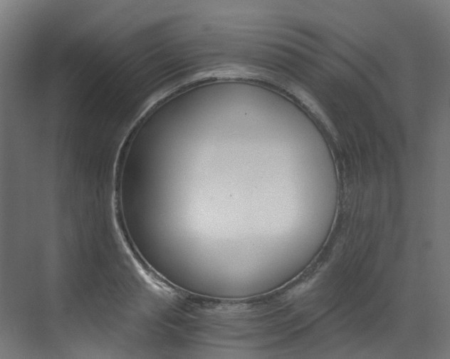X0000073530845200607311013