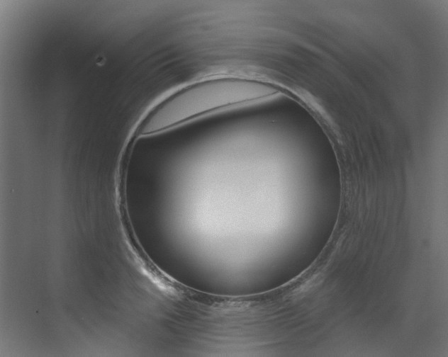 X0000073530846200607311013