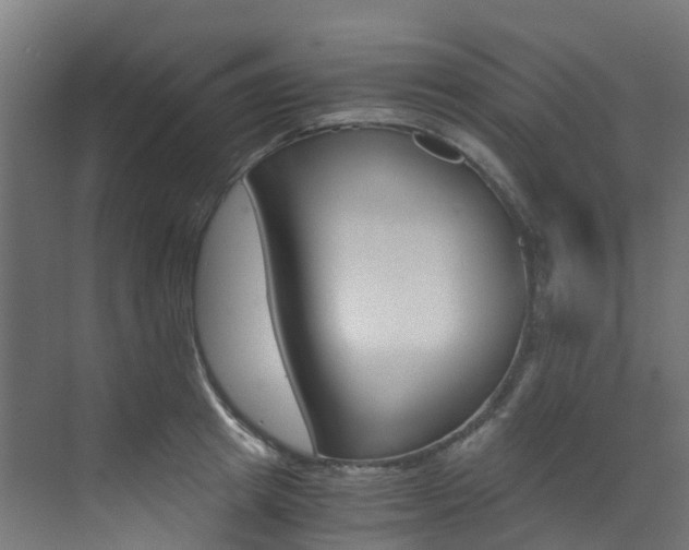 X0000073530849200607311013