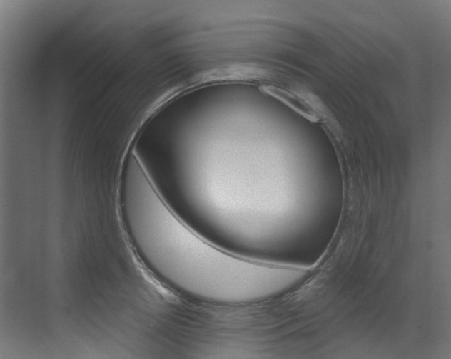 X0000073530850200607311013