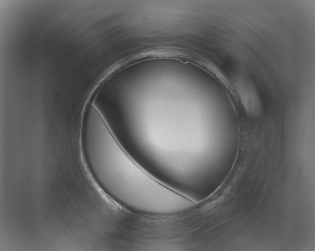 X0000073530853200607311013