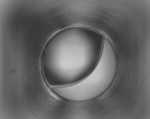 X0000073530854200607311013