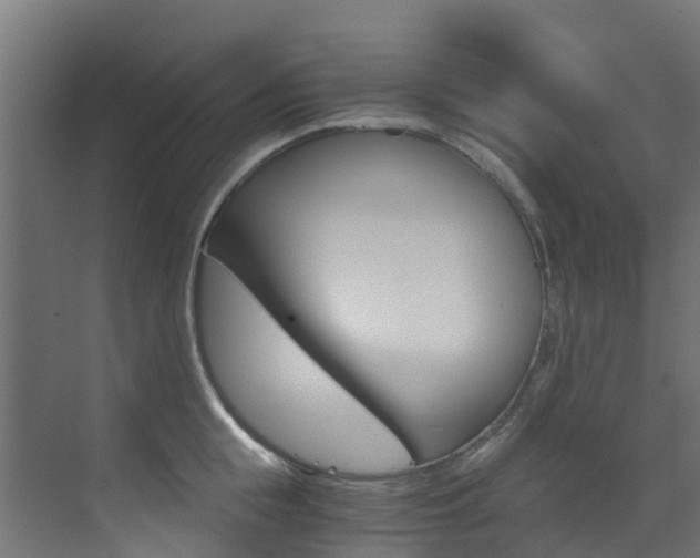 X0000073530855200607311013