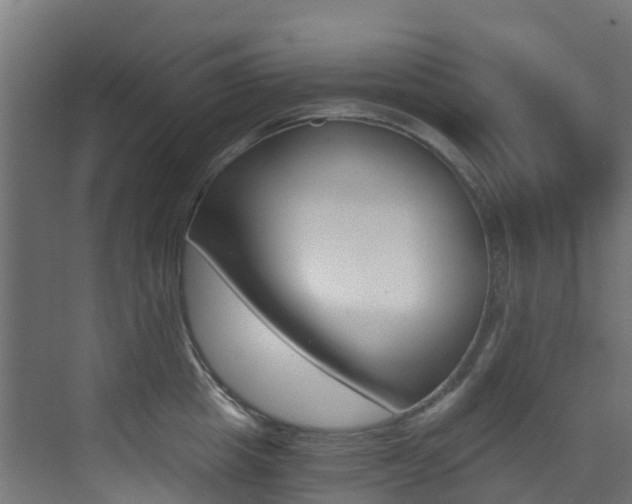 X0000073530857200607311013