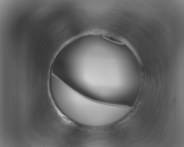 X0000073530861200607311014
