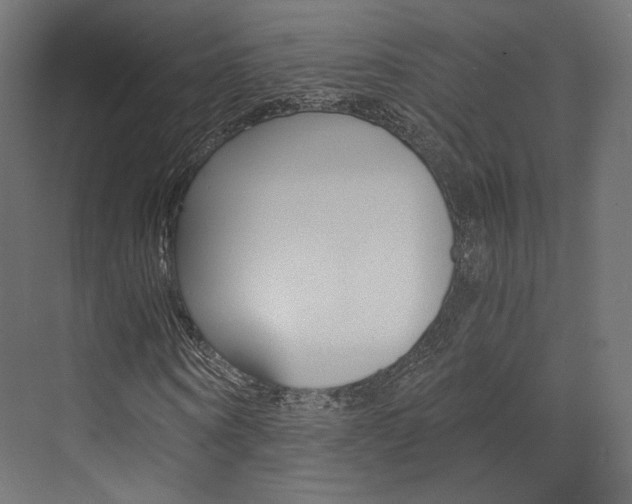 X0000073530866200607311013
