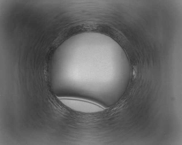 X0000073530867200607311013