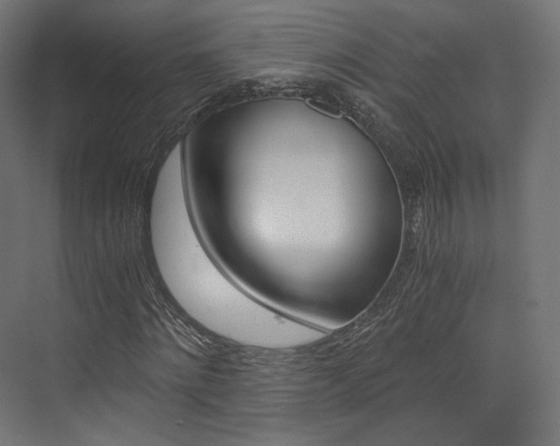 X0000073530868200607311013