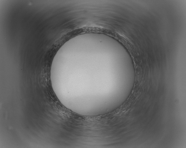 X0000073530870200607311013