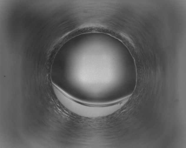 X0000073530872200607311013