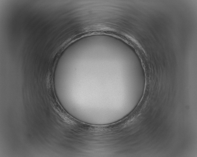 X0000073530873200607311013