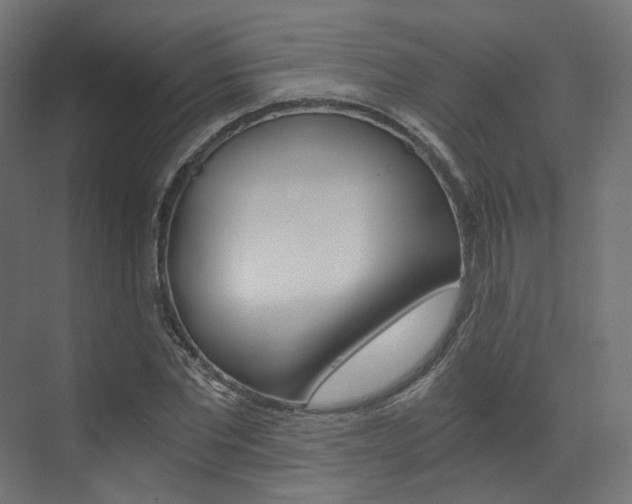 X0000073530877200607311013