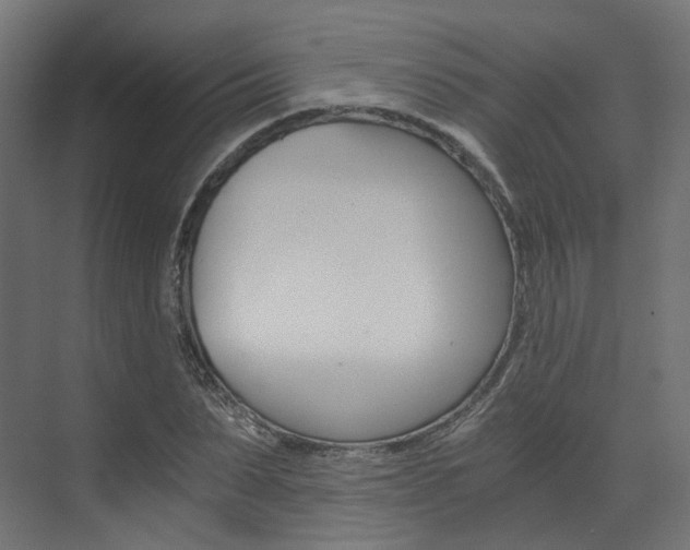 X0000073530879200607311013