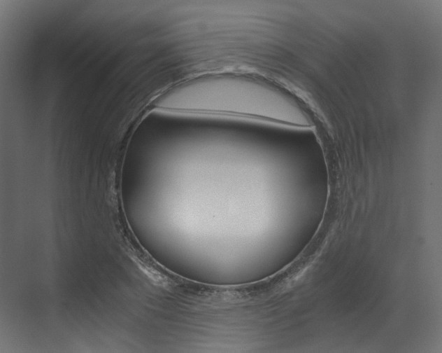 X0000073530881200607311013