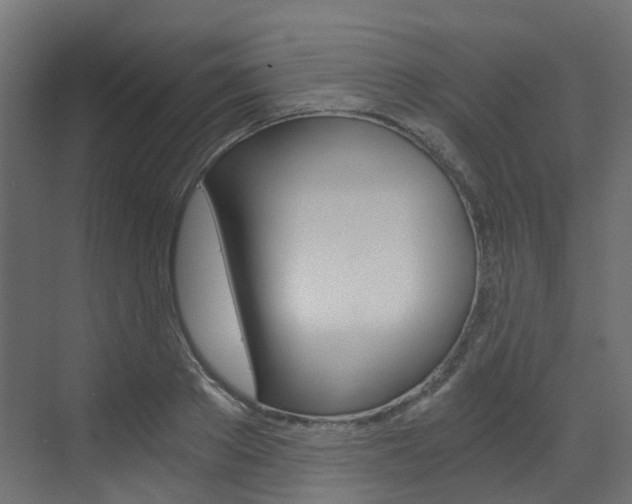 X0000073530889200607311012