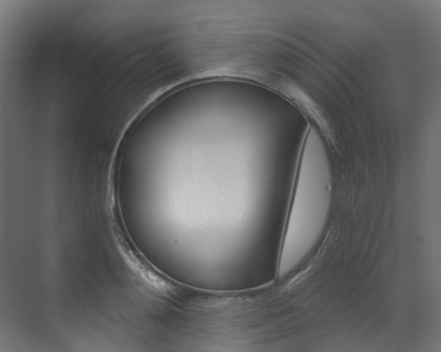 X0000073530892200607311012