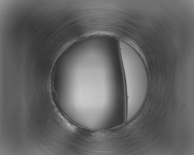 X0000073530898200607311012
