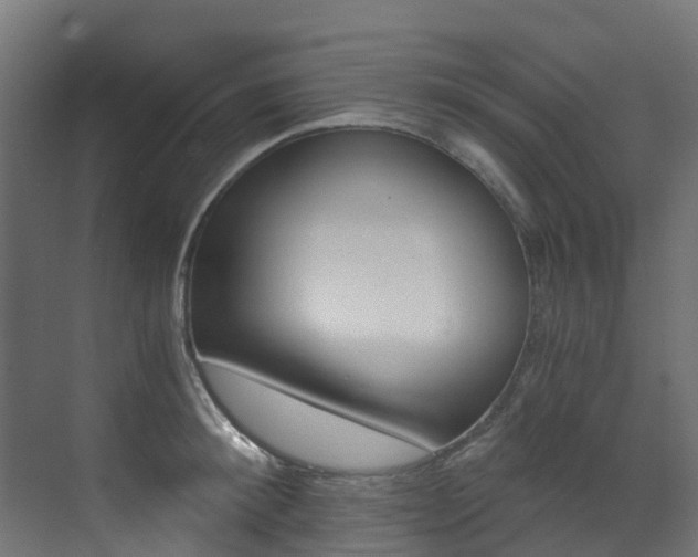 X0000073530900200607311012