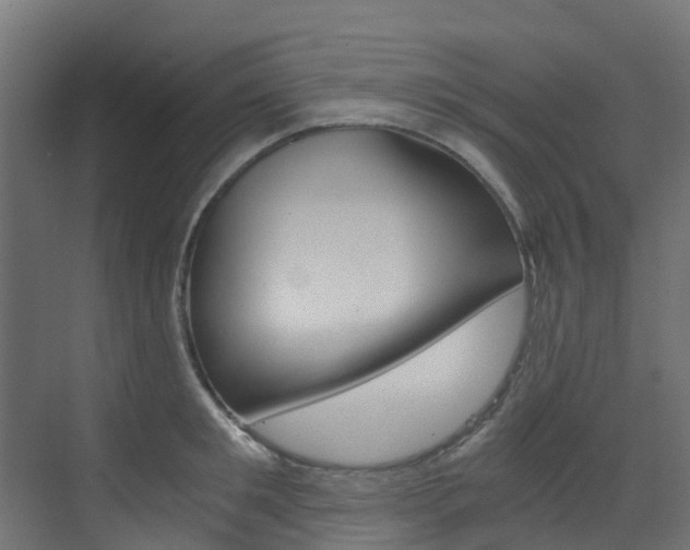 X0000073530901200607311012