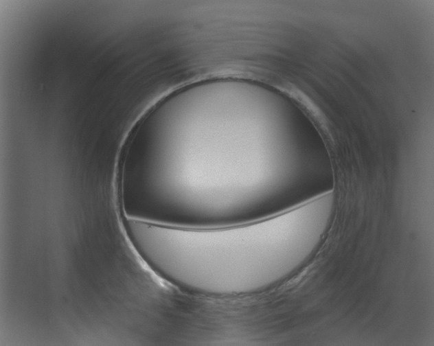 X0000073530902200607311012