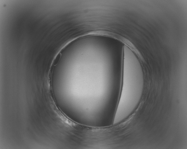 X0000073530908200607311012