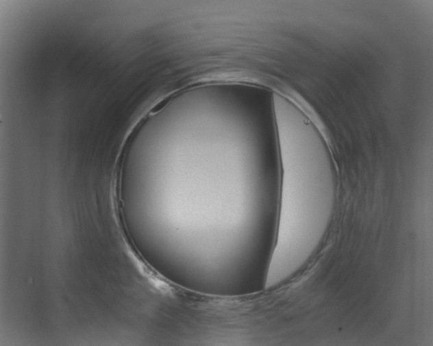 X0000073530909200607311012