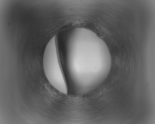 X0000073530914200607311011