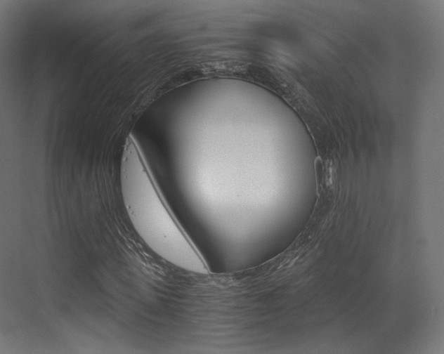 X0000073530915200607311011