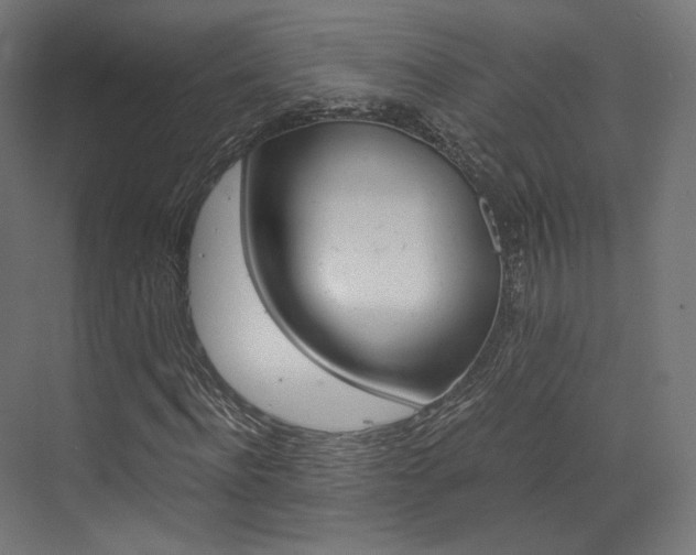X0000073530916200607311011