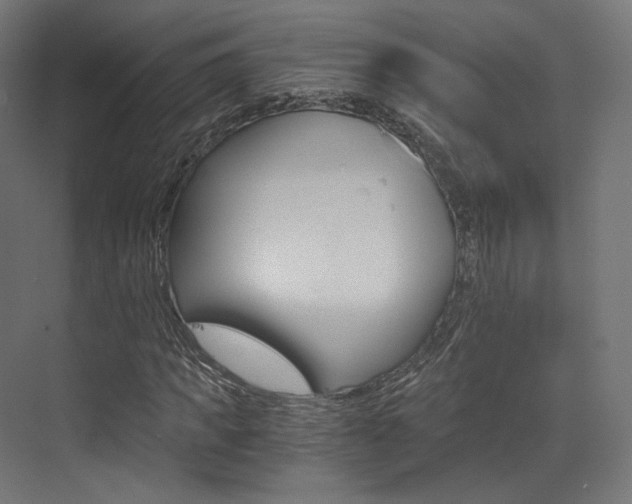 X0000073530917200607311011