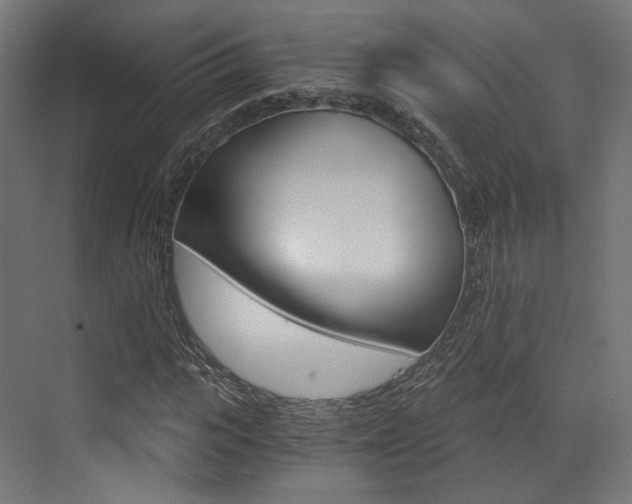 X0000073530919200607311011