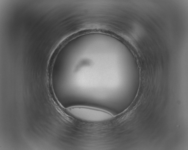 X0000073530927200607311011