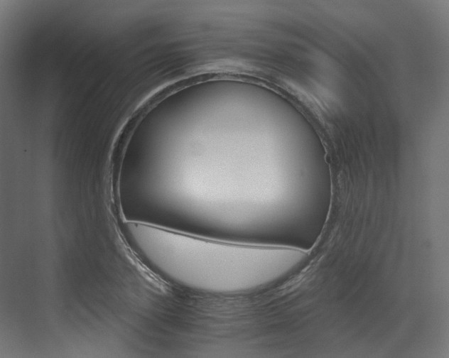 X0000073530931200607311012