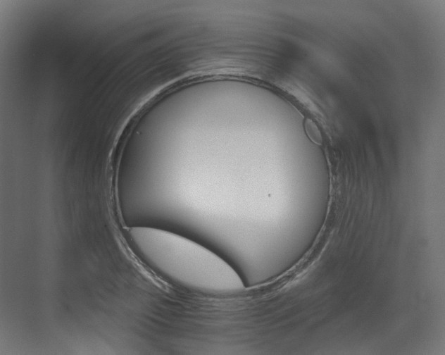 X0000073530933200607311012