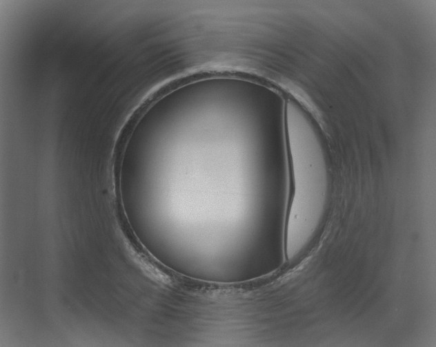 X0000073530934200607311012