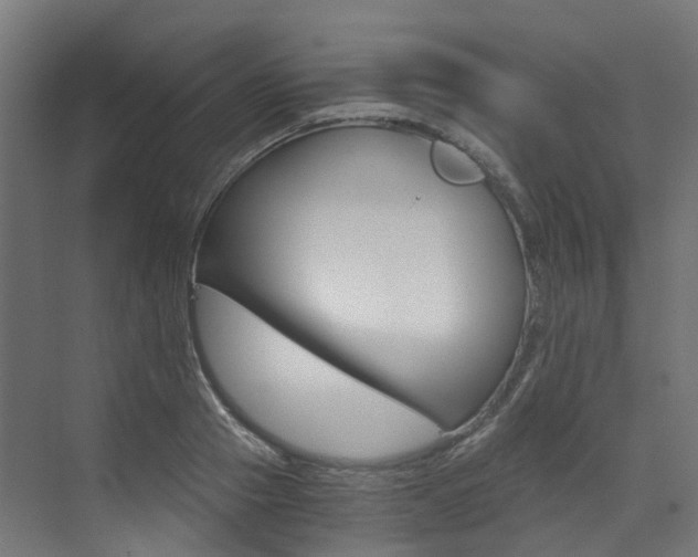X0000073530937200607311012