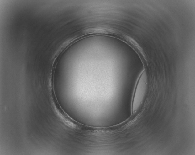 X0000073530938200607311012