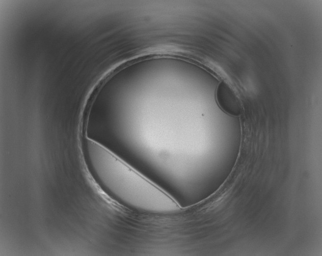 X0000073530939200607311012