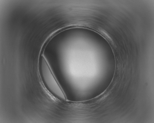 X0000073530940200607311012