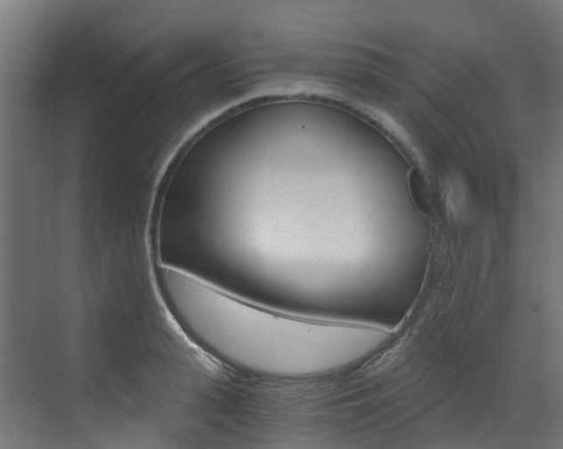 X0000073530943200607311012