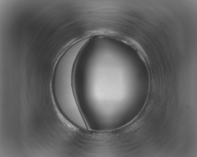 X0000073530946200607311012