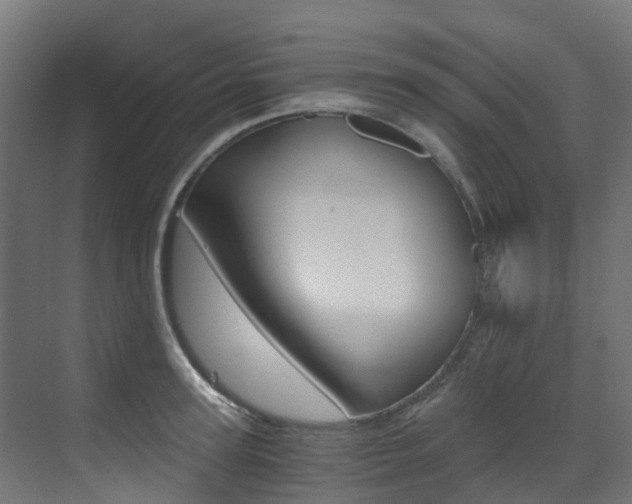 X0000073530947200607311012