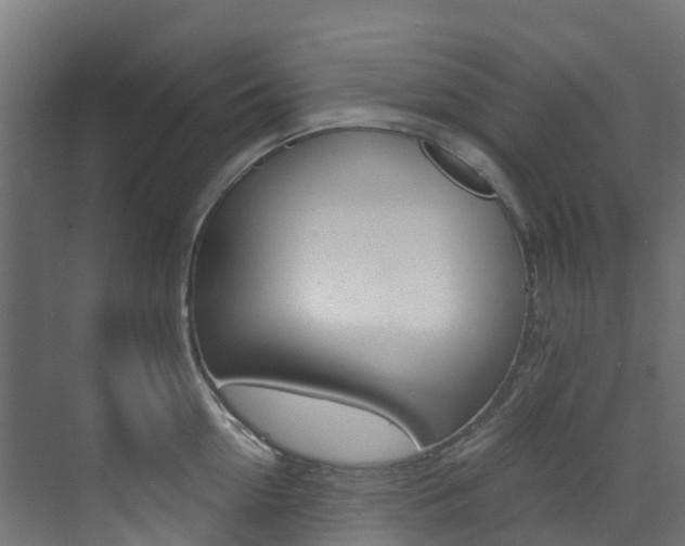 X0000073530954200607311012
