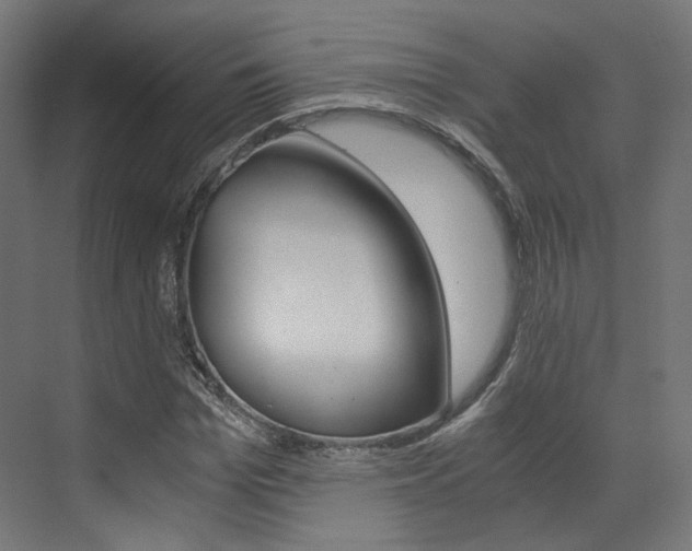 X0000073530969200607311011