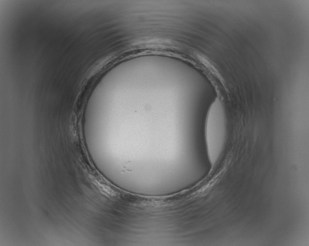 X0000073530970200607311011