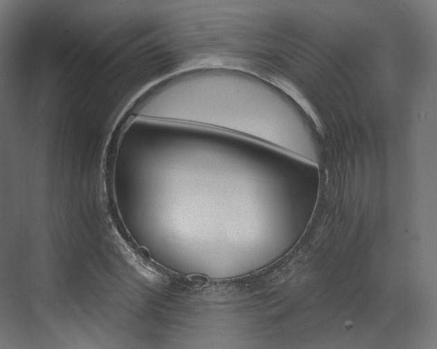 X0000073530972200607311011